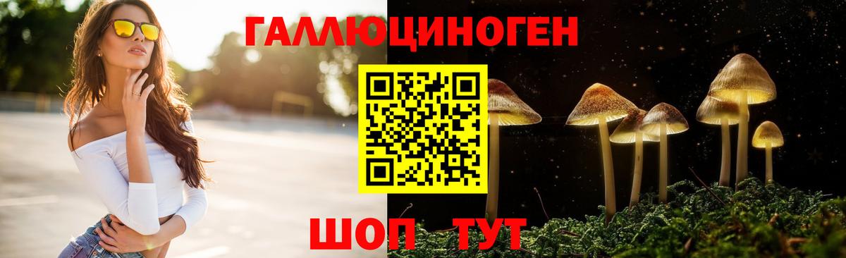 Галлюциногенные грибы Psilocybe Самара